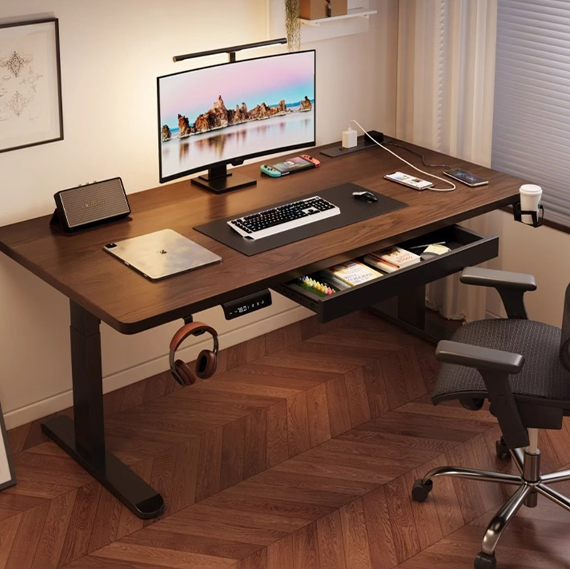Modern Iron Dual Motor Electri - Desk Setup Ergonomics 评论和价格